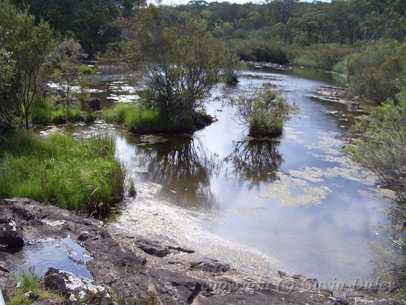 River, Dangar Falls IMGP0770.JPG